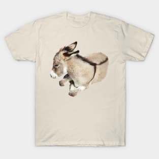 Wild burro, donkey, wildlife, Cutie Pie T-Shirt